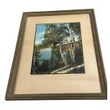Wallace Nutting Birch Hilltop Photograph