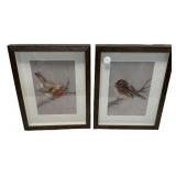 Pair Framed Bird Prints Signed Jade