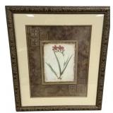 Framed Botanical Orchid Print Signed