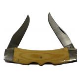 Case Texas Longhorn 2 Blade Folding Knife
