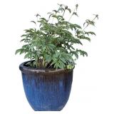 Planter, pottery, brown over blue drip glaze,