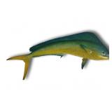 Bull dolphin, fiberglass replica, 12'T, 47'L (rear