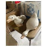 Geese
