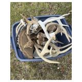 Deer antlers and tote