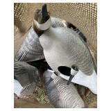 Geese decoys