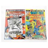 Giant-Size Spider-Man #4 + ASM Annual #15/Punisher