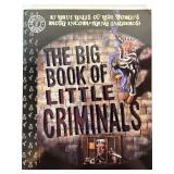 THE BIG BOOK OF LITTLE CRIMINALS