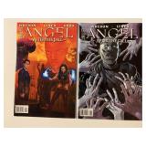 2 IDW COMICS ANGEL AFTER THE FALL #7, 8