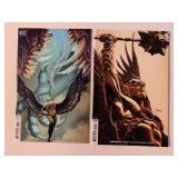 2 DC COMICS HAWKMAN #3, 19
