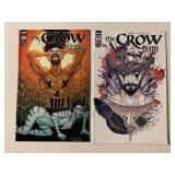 2 IDW COMICS THE CROW 2/#2 ADULT READ