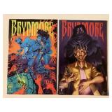 2 IDW COMICS BRYNMORE #2, 3 ADULT READ