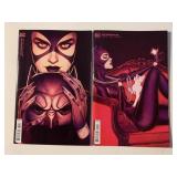 2 DC COMICS CATWOMAN #39, 40