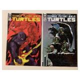 2 IDW COMICS TMNT #117, 124