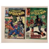 2 MARVEL COMICS THE AMAZING SPIDER-MAN # 204, 289