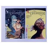 2 DC COMICS SANDMAN UNIVERSE THE DREAMING #1, 6