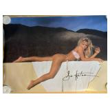 Poster Lisa Hartman