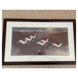 USAF Thuderbirds Pilot Signed Print