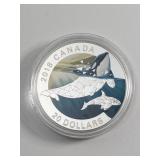 2018 $20 FINE SILVER COIN