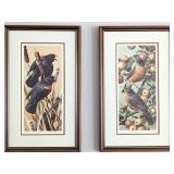 Carl Brenders Signed and Numbered Bird Prints