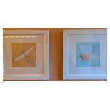 Framed Insect-Themed Art Prints