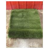 Astroturf