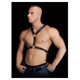 Ouch! Thanos Chest Harness