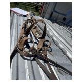 English Bridal Nylon Head Stall