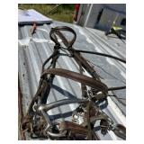 English Head Stall and Bit