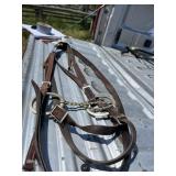Western Bridal Double Wire Bit