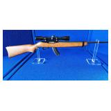 Ruger Model 10/22 .22 LR w/ Bushnell scope