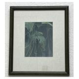 Robert Bateman Red Eyed Tree Frog Framed Earth Ed.