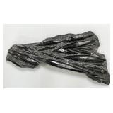 Extra Large Polished Orthoceras Fossil Plate