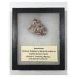 Natural Raspberry Garnets in Matrix Specimen