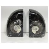 Polished Nautilus Book End Pair