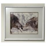 Carl R. Sams II Original Photograph Pair Of Wolves