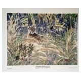 Phil Fisher "Florida Panther" Sanibel Poster