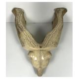 Alaskan Walrus Jaw Bone Cribbage Game Board