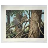 Don Eckelberry Blue Grouse S&N Art Print