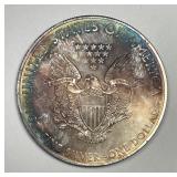 2010 Silver American Eagle 1 oz .999 Color Toned