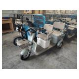 2025 IR IRGC40 MINI GOLF CART