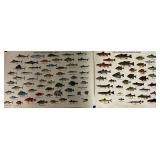 2 North Carolina Fish Posters With Common & Scient