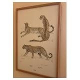 Rowland Ward Game Animals Cheetah Print Clare Abbo