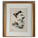 Signed Boris Riab Print Bird Study Series In Frame