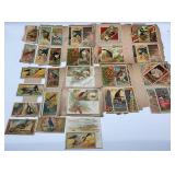 25 Allen & Ginter Birds of America N4 & N37 Cigare