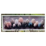 Framed Egg Still Life, Concept Art Gallery