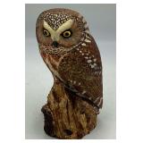Resin Cast Hand-Painted Northern Saw-whet Owl Scul
