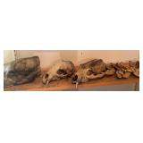 3 Bear Skulls with Mandibles & Detached Teeth