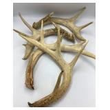2 Sets of Naturally Shed Whitetail Deer Antlers