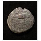 300BC Tunny Fish