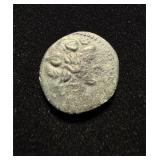 187BC Nice AXF Dionyses-Goat